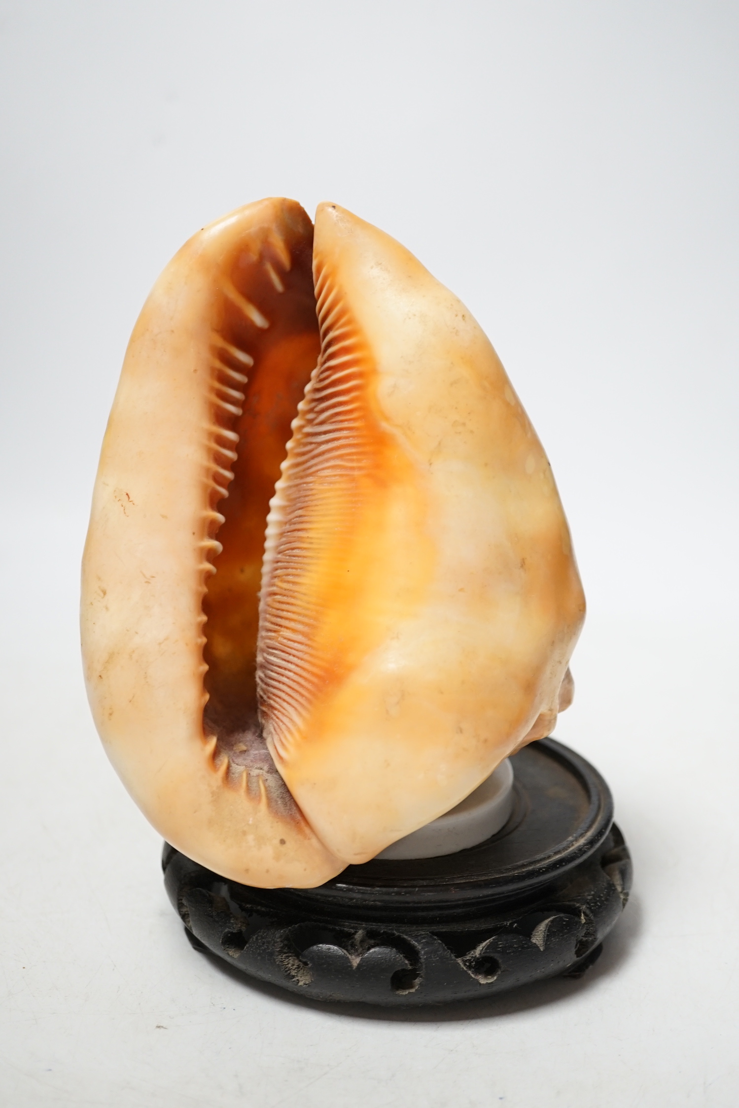An Italian cameo carved night light, 19cm high